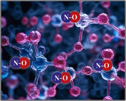 Nitric Oxide